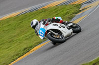 PJ-Motorsport-2019;anglesey-no-limits-trackday;anglesey-photographs;anglesey-trackday-photographs;enduro-digital-images;event-digital-images;eventdigitalimages;no-limits-trackdays;peter-wileman-photography;racing-digital-images;trac-mon;trackday-digital-images;trackday-photos;ty-croes